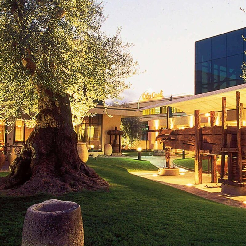 Museo dell'Olivo